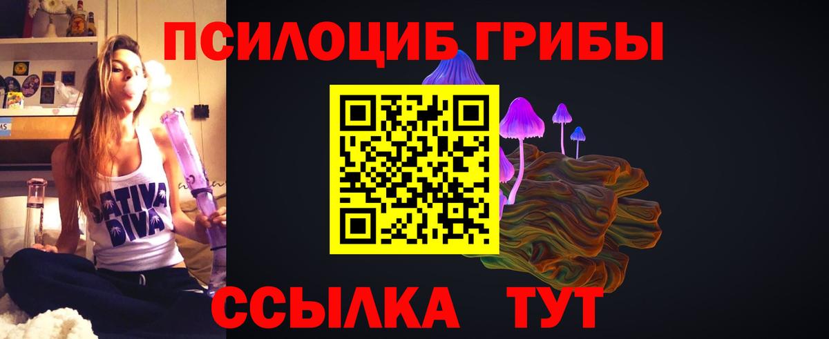Псилоцибиновые грибы прущие грибы  Вход с VPN  Кинель 